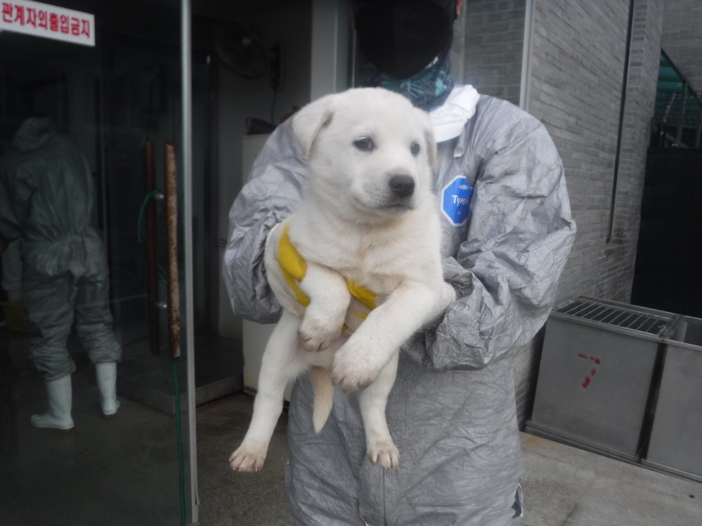 제주 동물보호센터_450650202301268